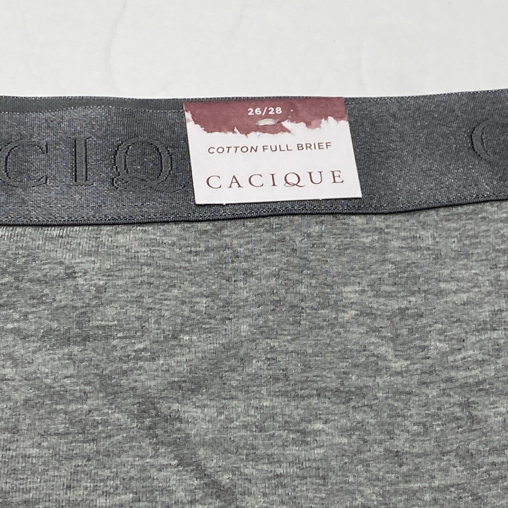 26/28 gray cotton full brief panty wide waistband NWT Lane Bryant plus size 4x - Picture 6 of 7